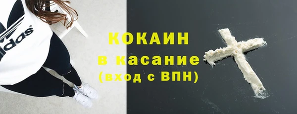 гидра Заводоуковск