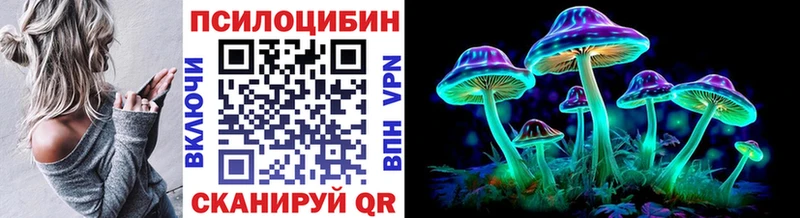 Купить  Калтан  Псилоцибиновые грибы мицелий 