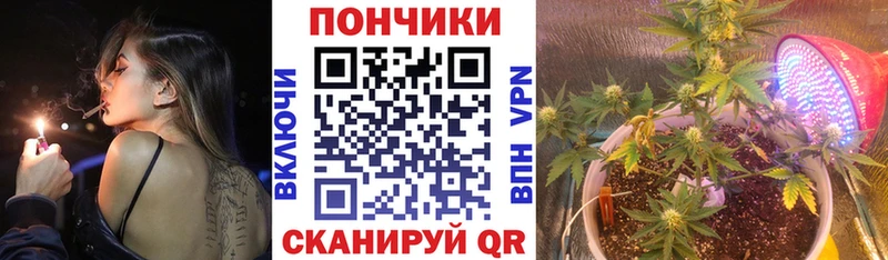 Купить закладки  Калтан  Каннабис гибрид 